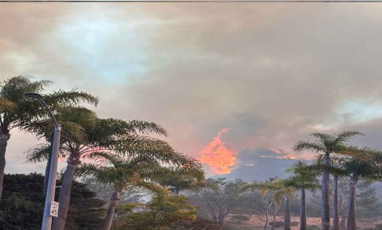 Feature Story Image